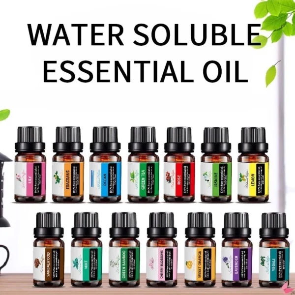 Aromatherapy Essential Oil Air Humidifier & Diffuser – Water-Soluble Air Purifier for Home & Office