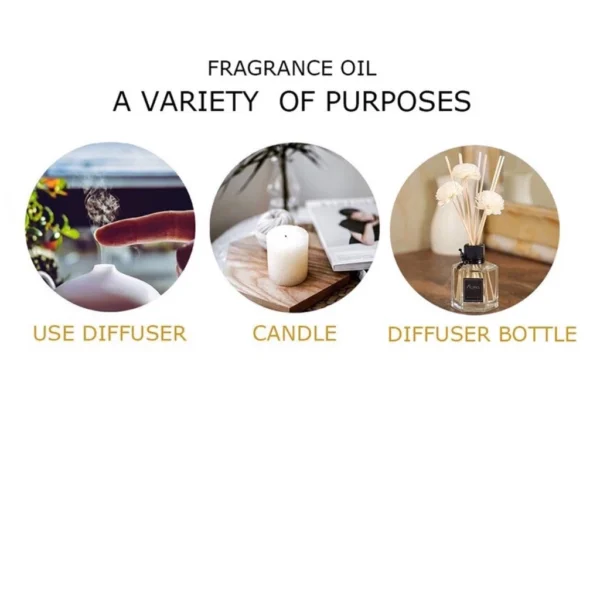 Aromatherapy Essential Oil Air Humidifier & Diffuser – Water-Soluble Air Purifier for Home & Office