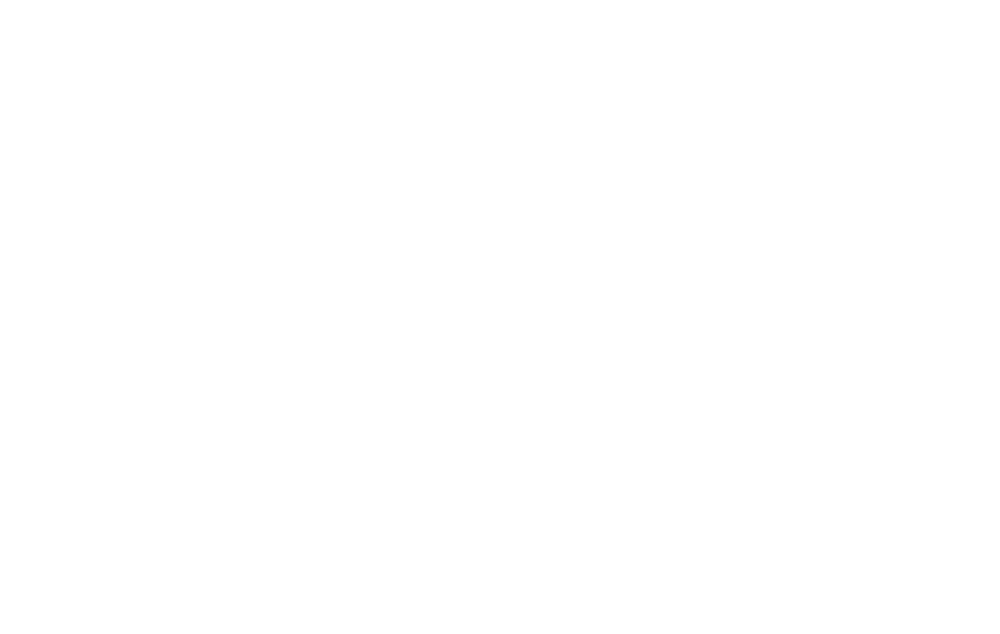 stirsmart.asia